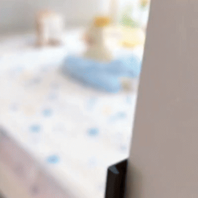 (50% OFF ) Surprise Plush Bear