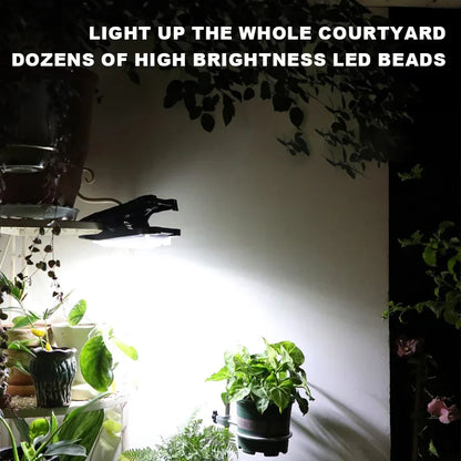 (30% DISCOUNT )  Solar lights clip the walkway, have smart sensors that automatically turn on, and are IP65 waterproof