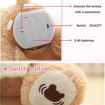 (50% OFF ) Surprise Plush Bear