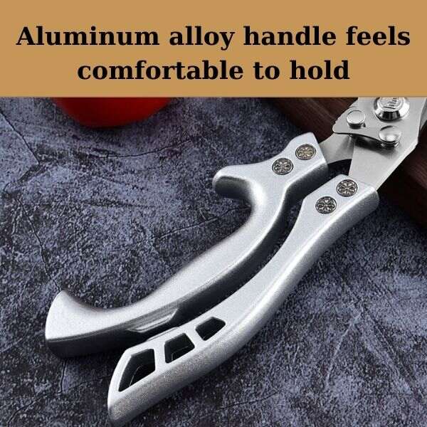 (30% OFF) Multi-Purpose Kitchen Scissors